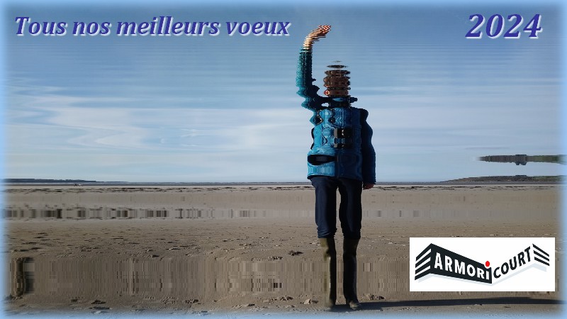 You are currently viewing Meilleurs vœux pour 2024